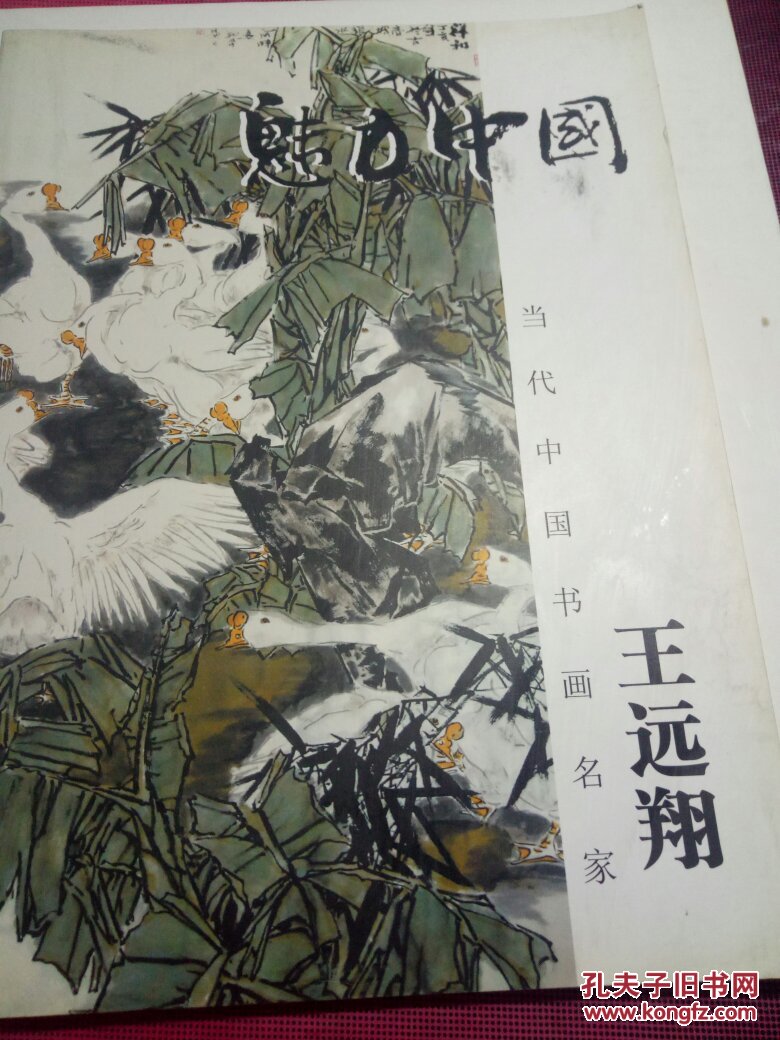 【包邮挂刷】魅力中国 当代中国书画名家——王远翔