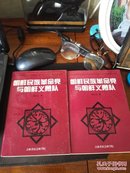 朝鲜民族革命党与朝鲜义勇队/韩国学丛书