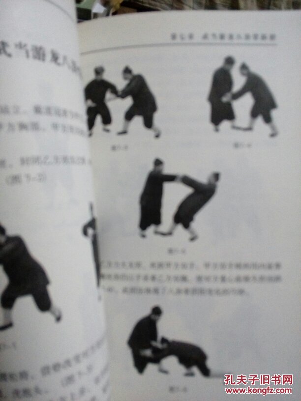 武当游龙八卦掌