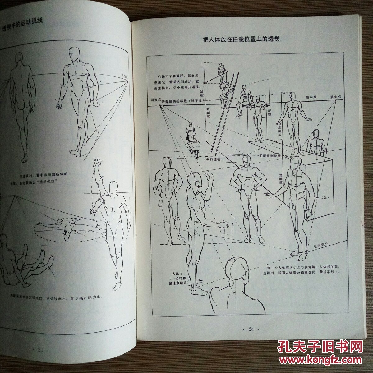 人体素描_(美)安德鲁.路米斯_孔夫子旧书网