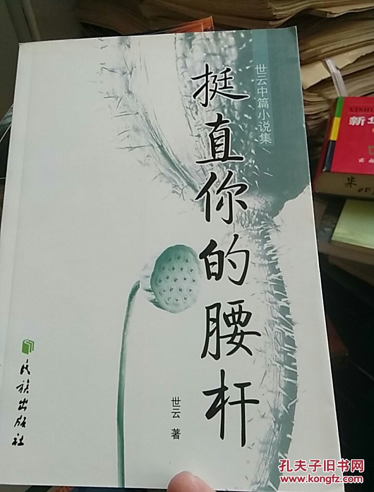 世云中篇小说集:挺直你的腰杆