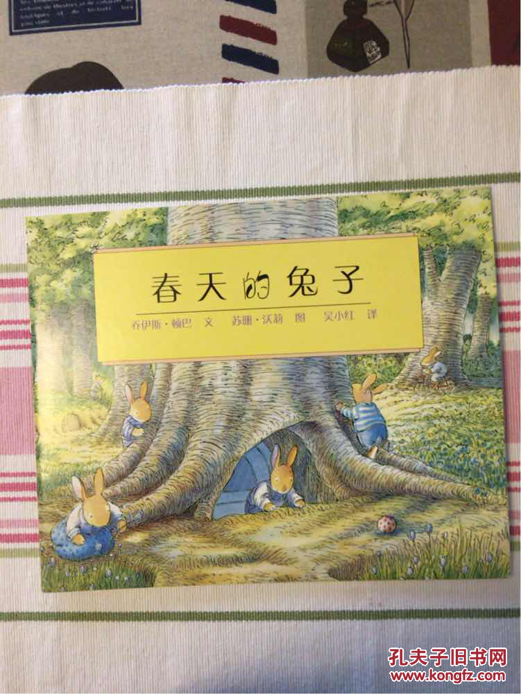 春天的兔子 东方娃娃