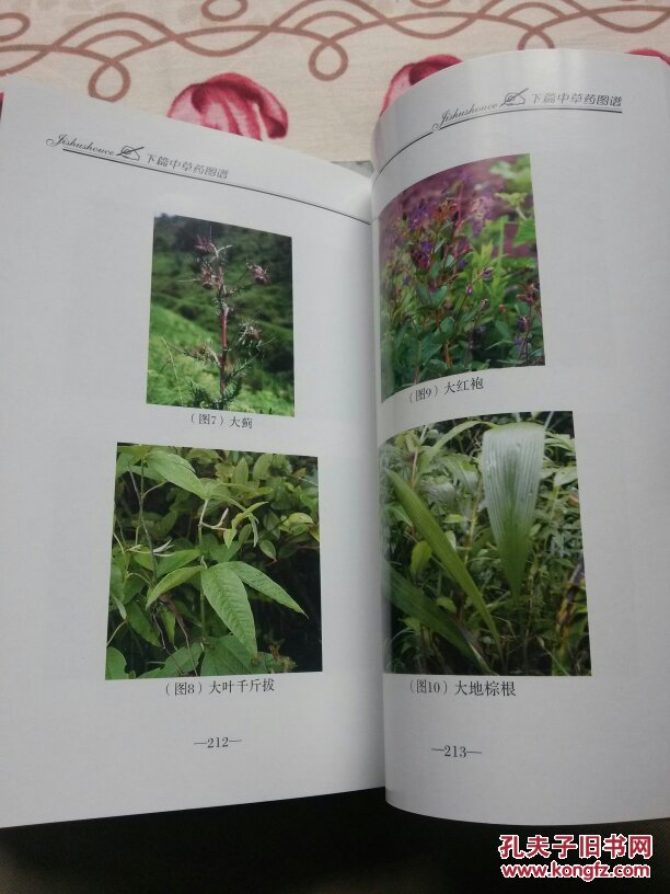 后半部很多彩色中草药图谱.地方自用书籍无版权页!书价含运费!一号箱
