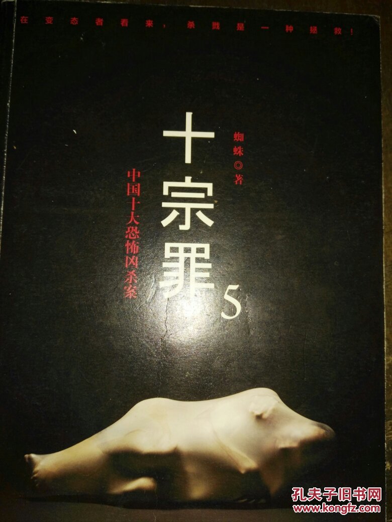 十宗罪5:中国十大凶杀案