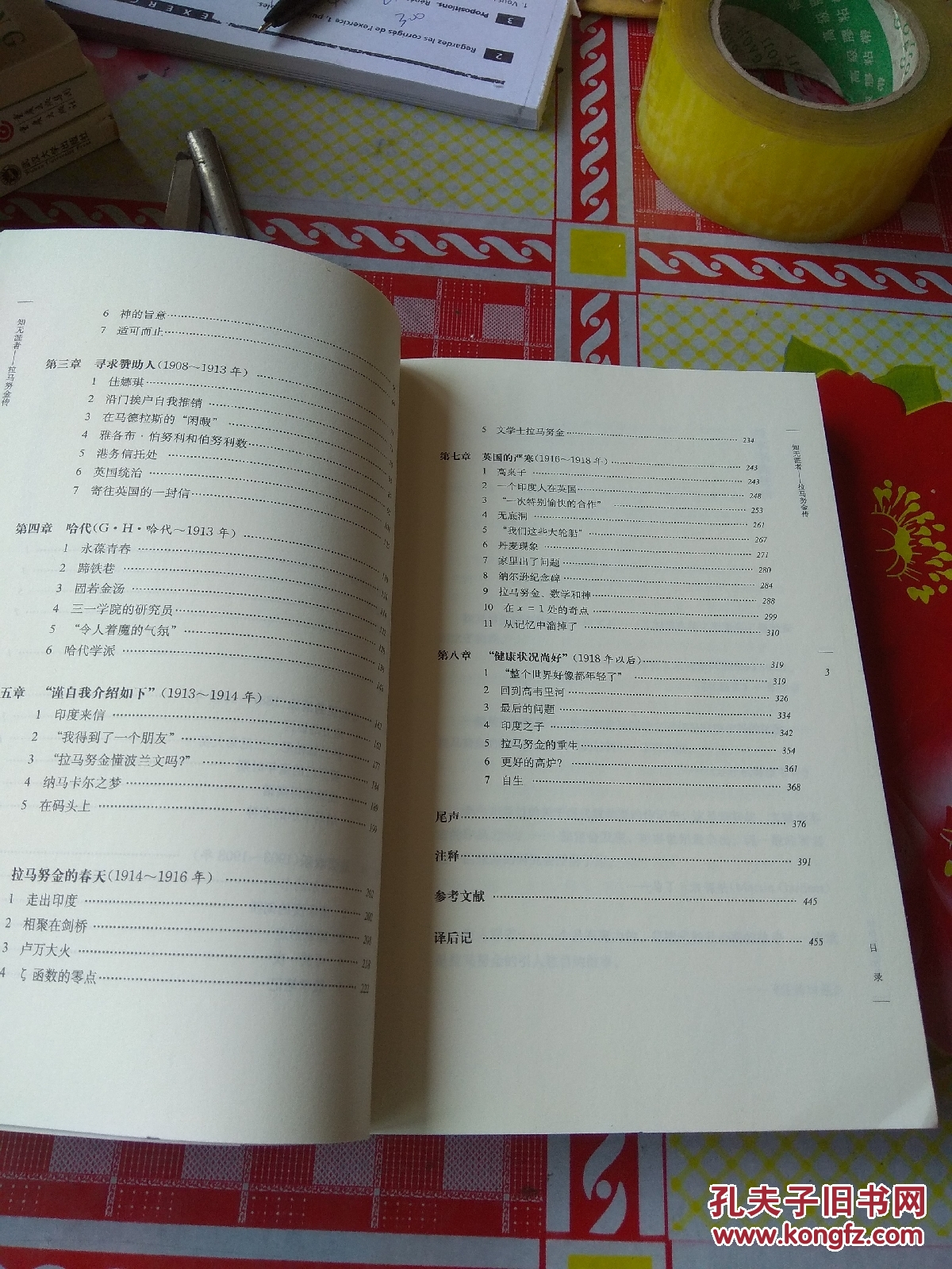 知无涯者:拉马努金传