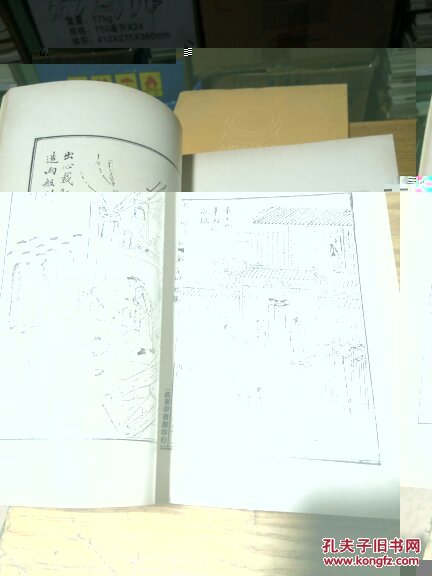 中国现在记 海天鸿雪记 活地狱