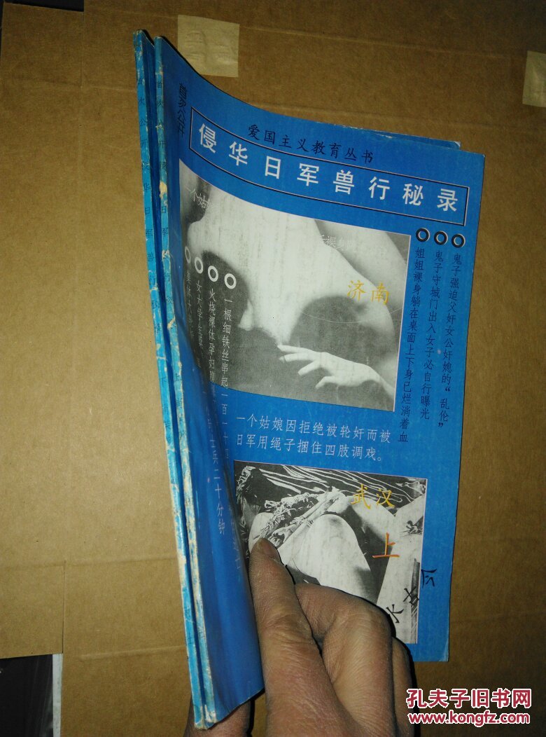 侵华日军兽行秘录(上下,建水古今) 南115