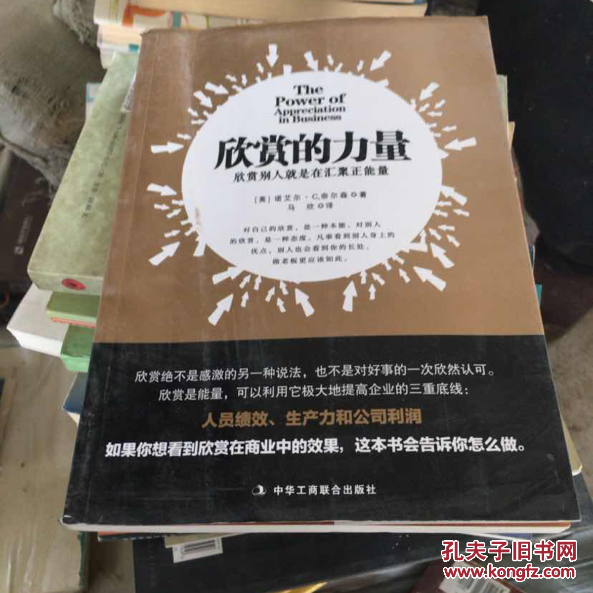 欣赏的力量:欣赏别人就是在汇聚正能量 .