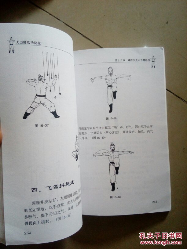 大力鹰爪功秘笈
