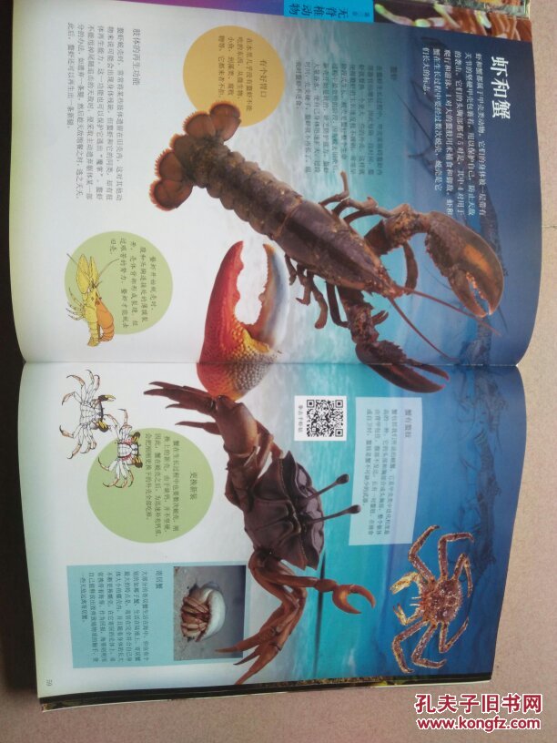 中国儿童动物百科