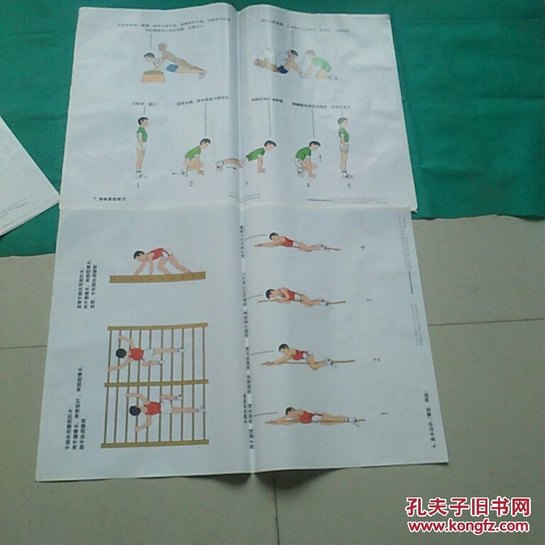 九年义务教育小学体育教学挂图【30张全,2开 大幅彩图