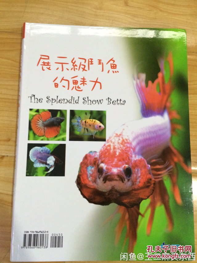 展示级斗鱼的魅力_吴瑞梹