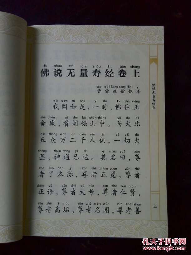 佛说无量寿经