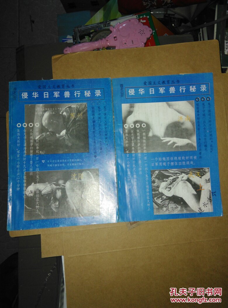 侵华日军兽行秘录(上下,建水古今) 南115