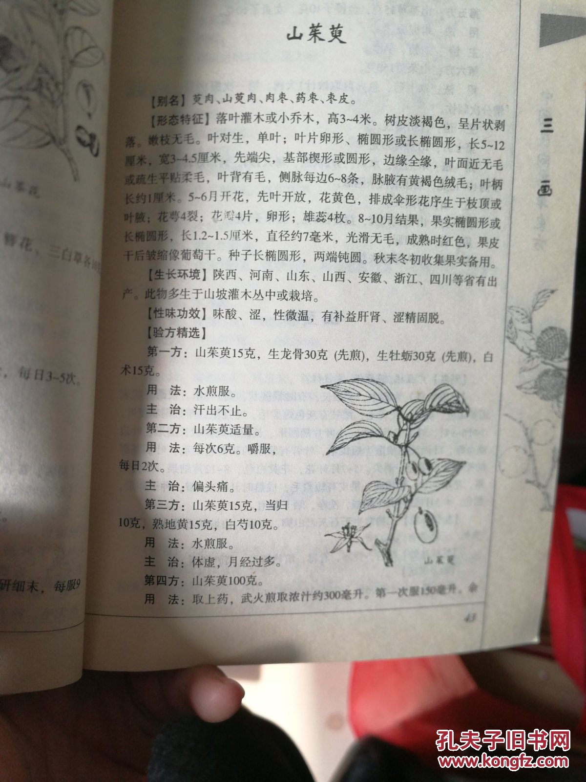 中国民间百草良方 (最新图文版)