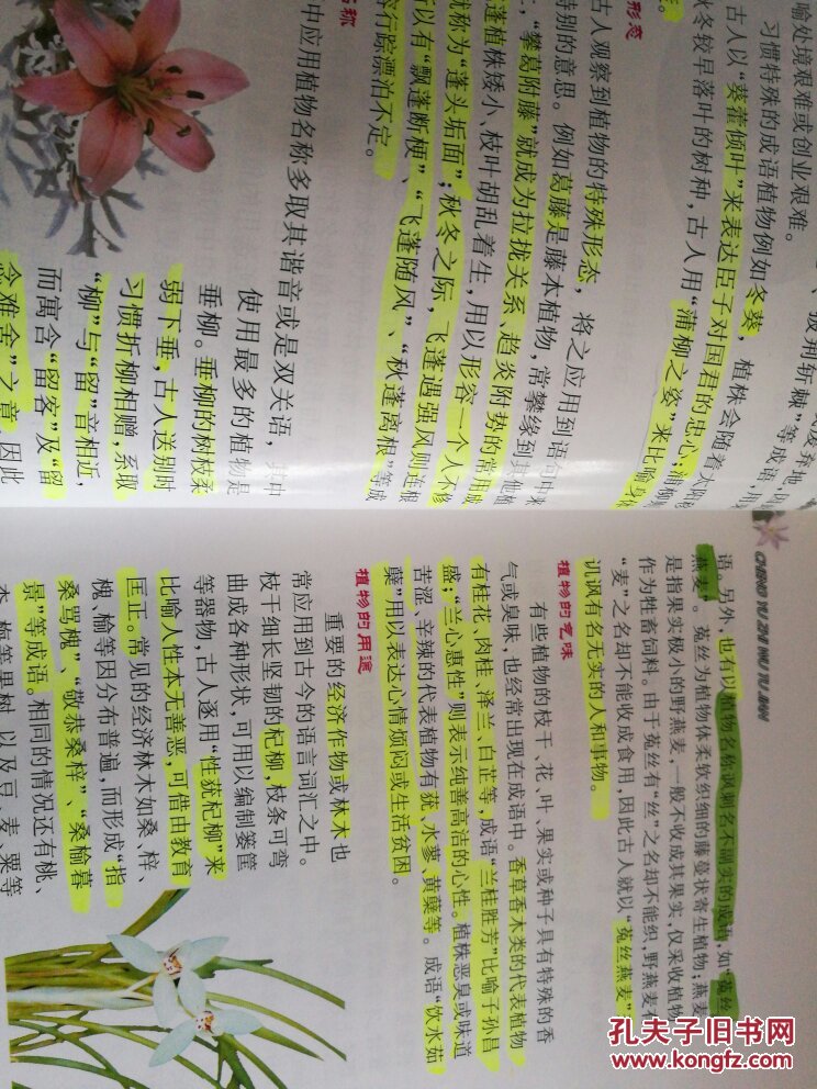 成语植物图鉴