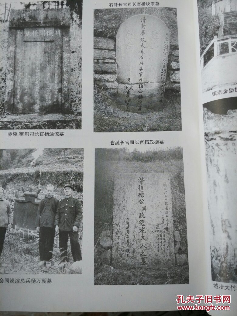 杨再思氏族通志