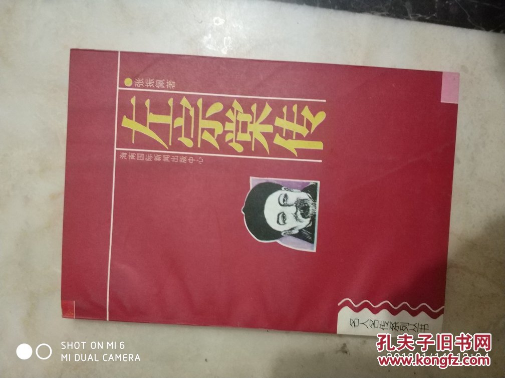左宗棠传