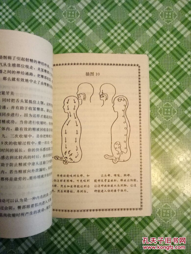 夫妻双修功 (气功房事养生)