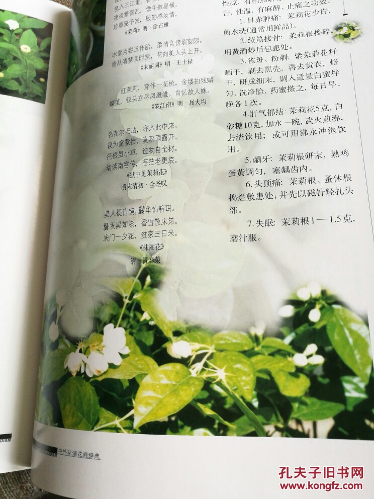中外花语花趣辞典
