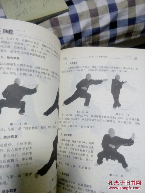 鹰爪拳 陈子正传人演示真传河北派鹰爪真功>