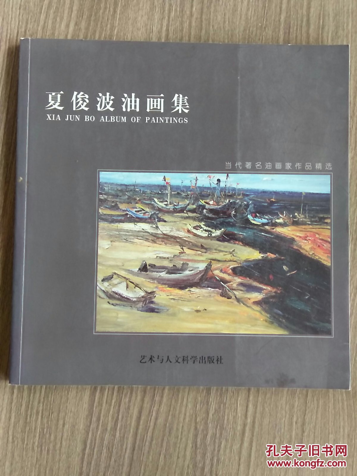 夏俊波油画集