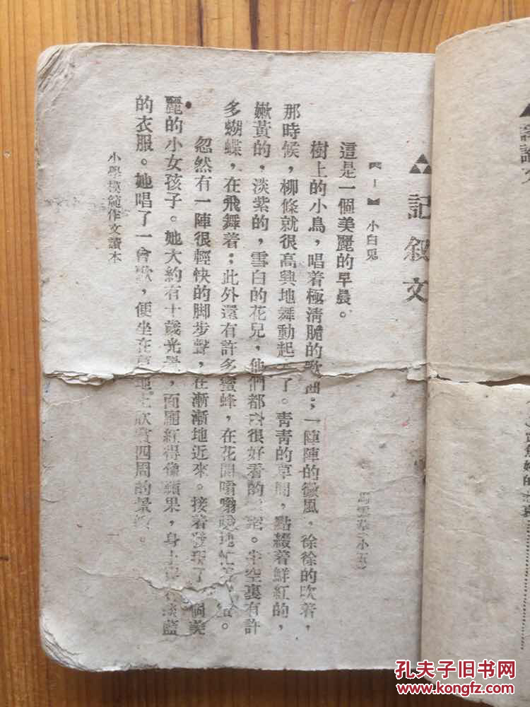 小学模范作文读本 (内容分:记叙文 日记 游记 传