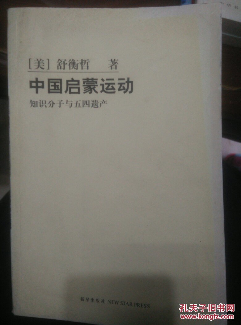 中国启蒙运动:知识分子与五四遗产