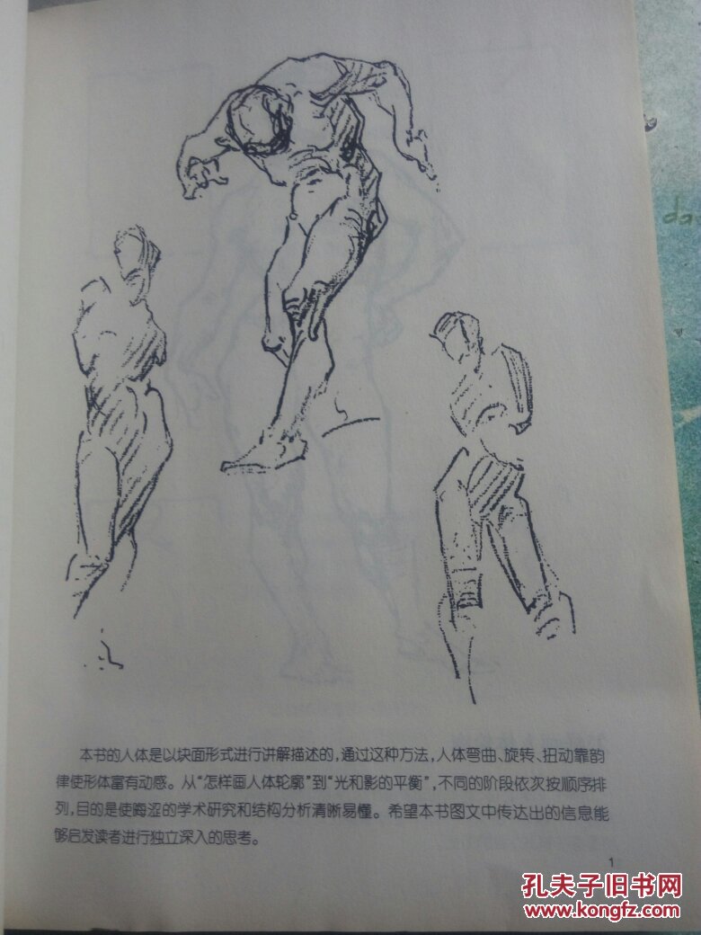 伯里曼人体结构绘画教学