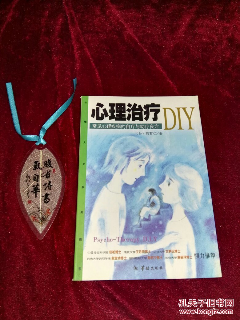 心理人文系列图书:心理治疗DIY.常见心理疾病的