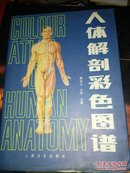 人体解剖彩色图谱（16开）