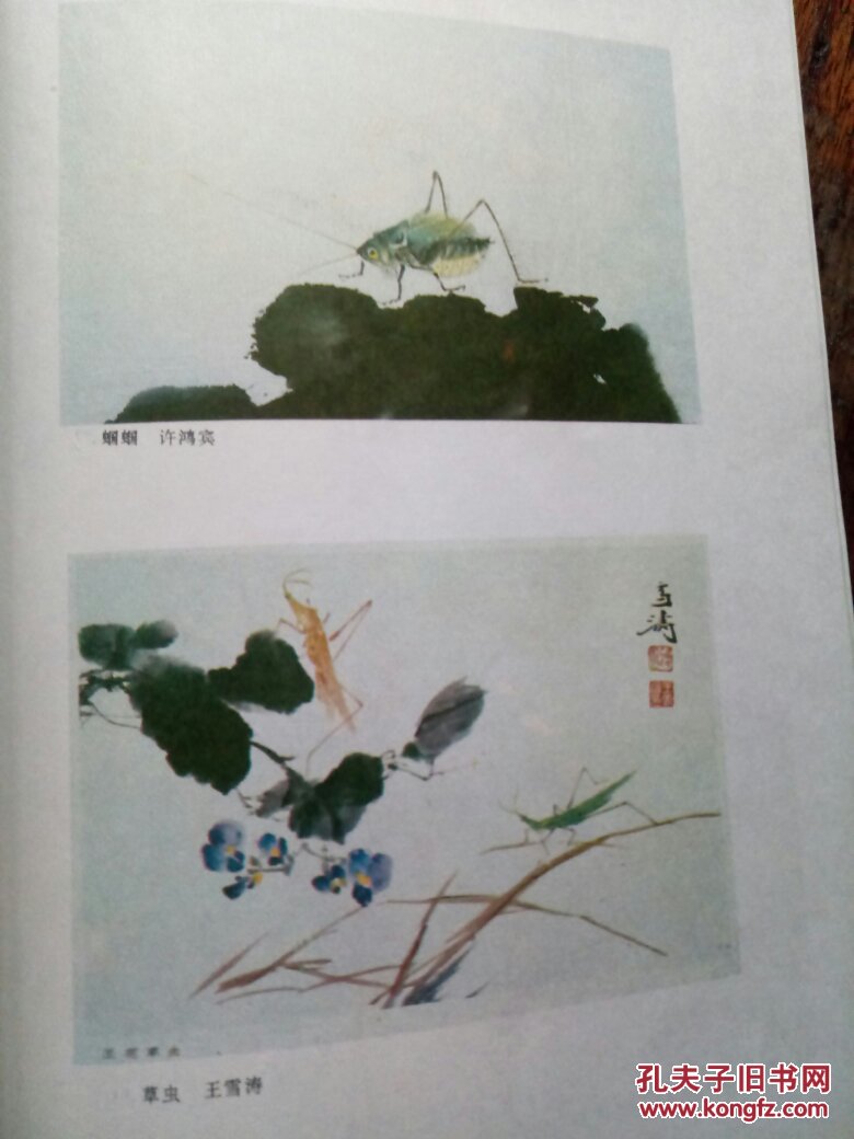 画页---【蝈蝈---许鸿宾,草虫--王雪涛】10