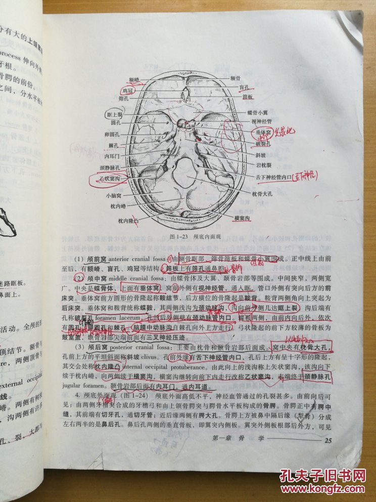 系统解剖学 (第6版)