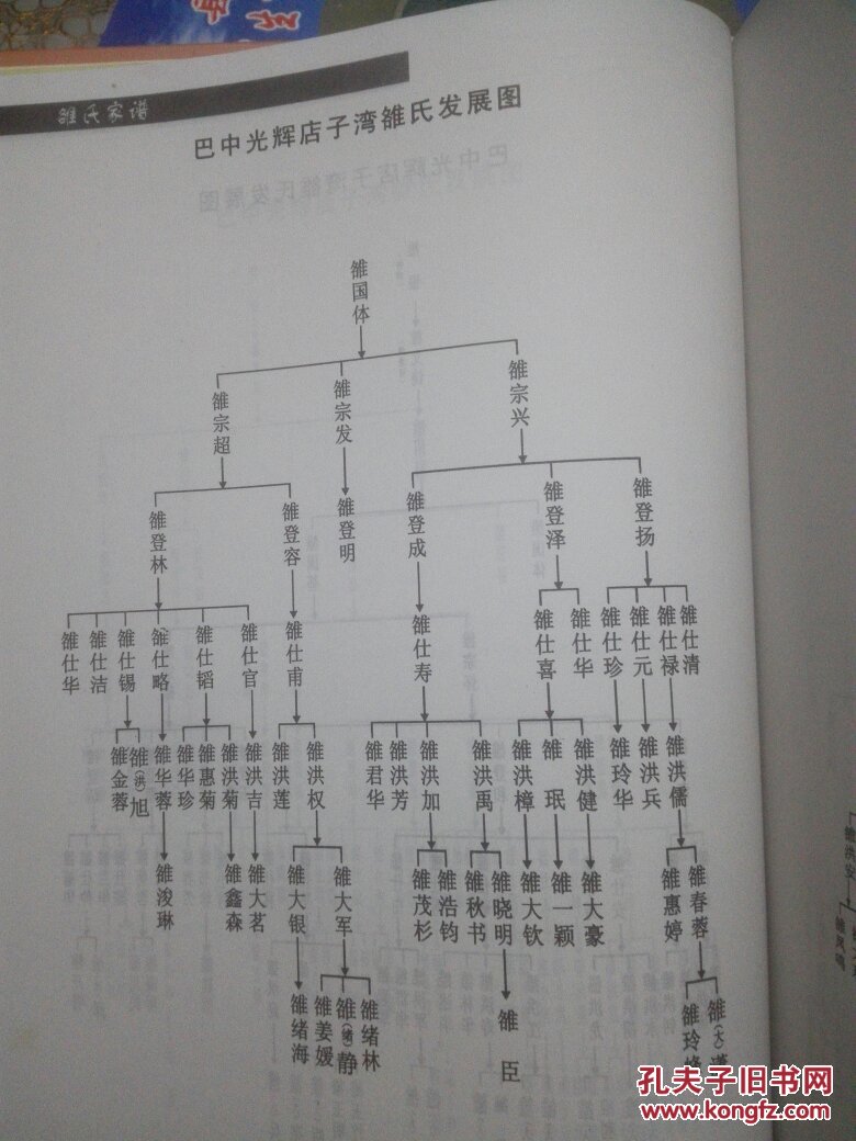 雒氏家谱四川巴中光辉青龙嘴平梁莲花山枣林平昌坦溪镇
