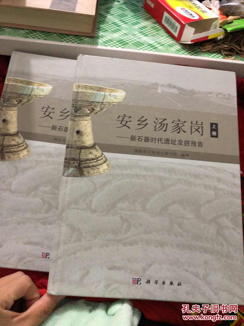 安乡汤家岗遗址
