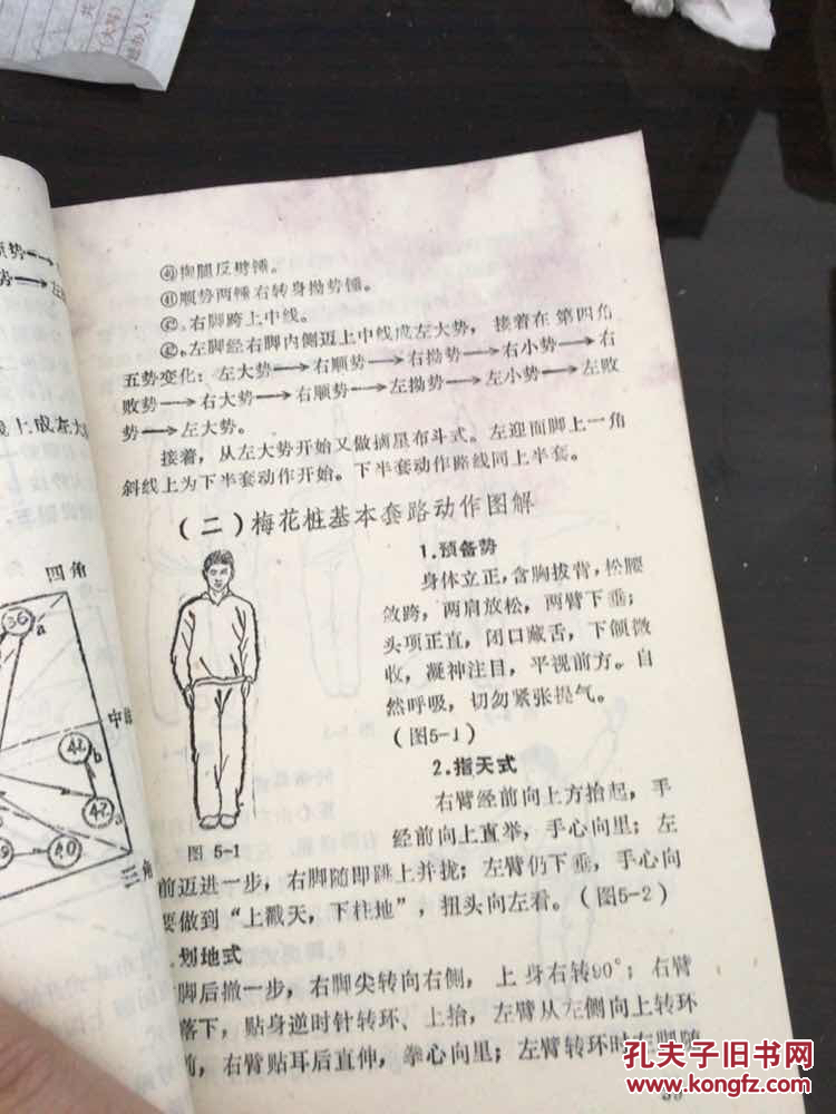 五势梅花桩实用技击术