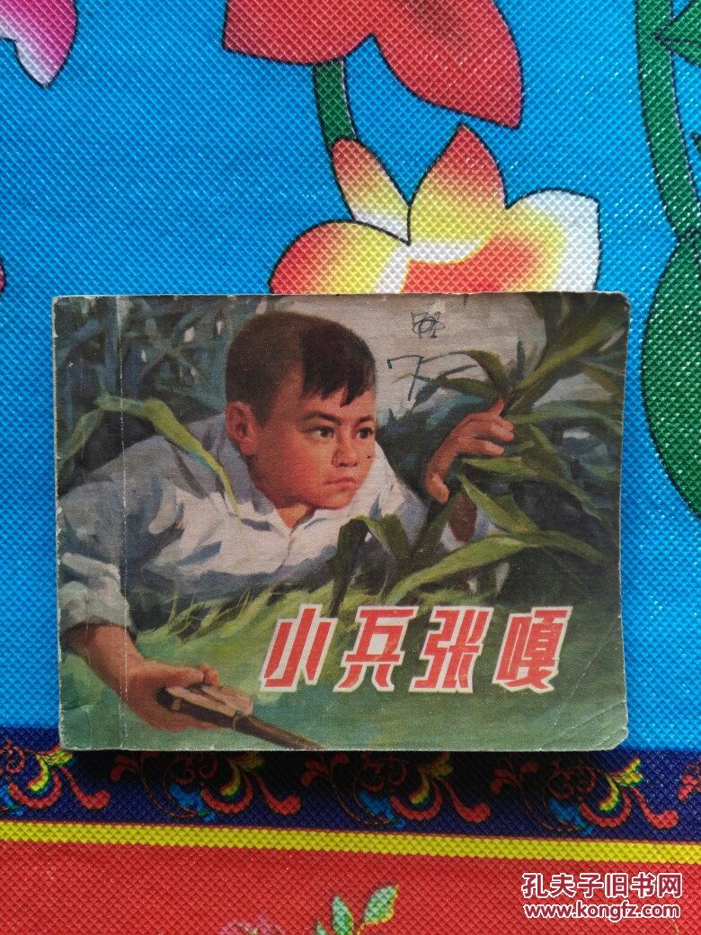 小兵张嘎