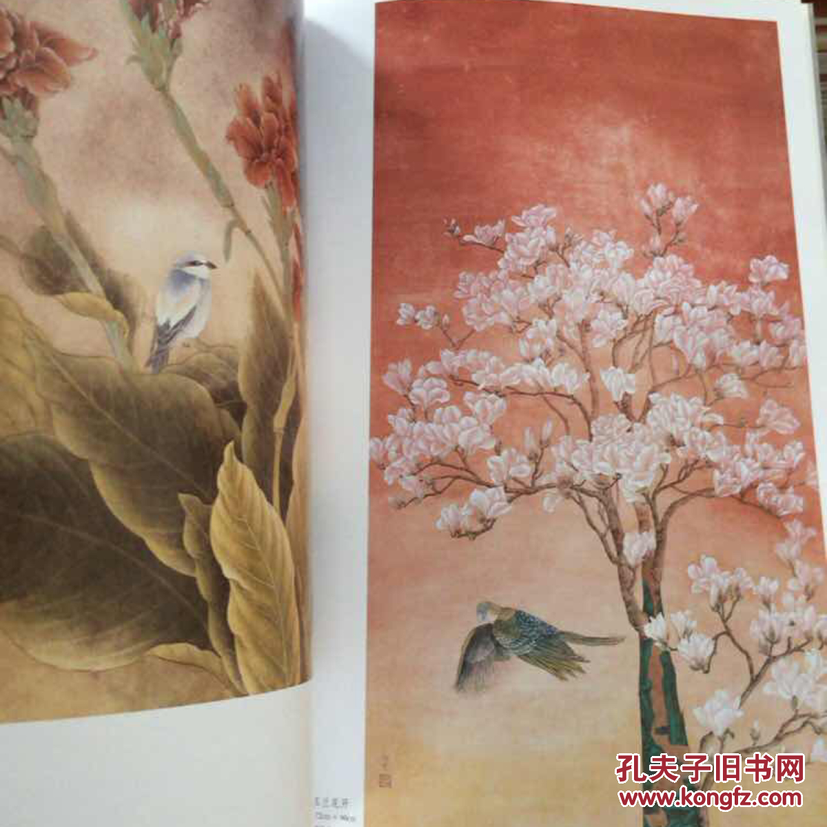 当代中国工笔花鸟画优秀作品集1