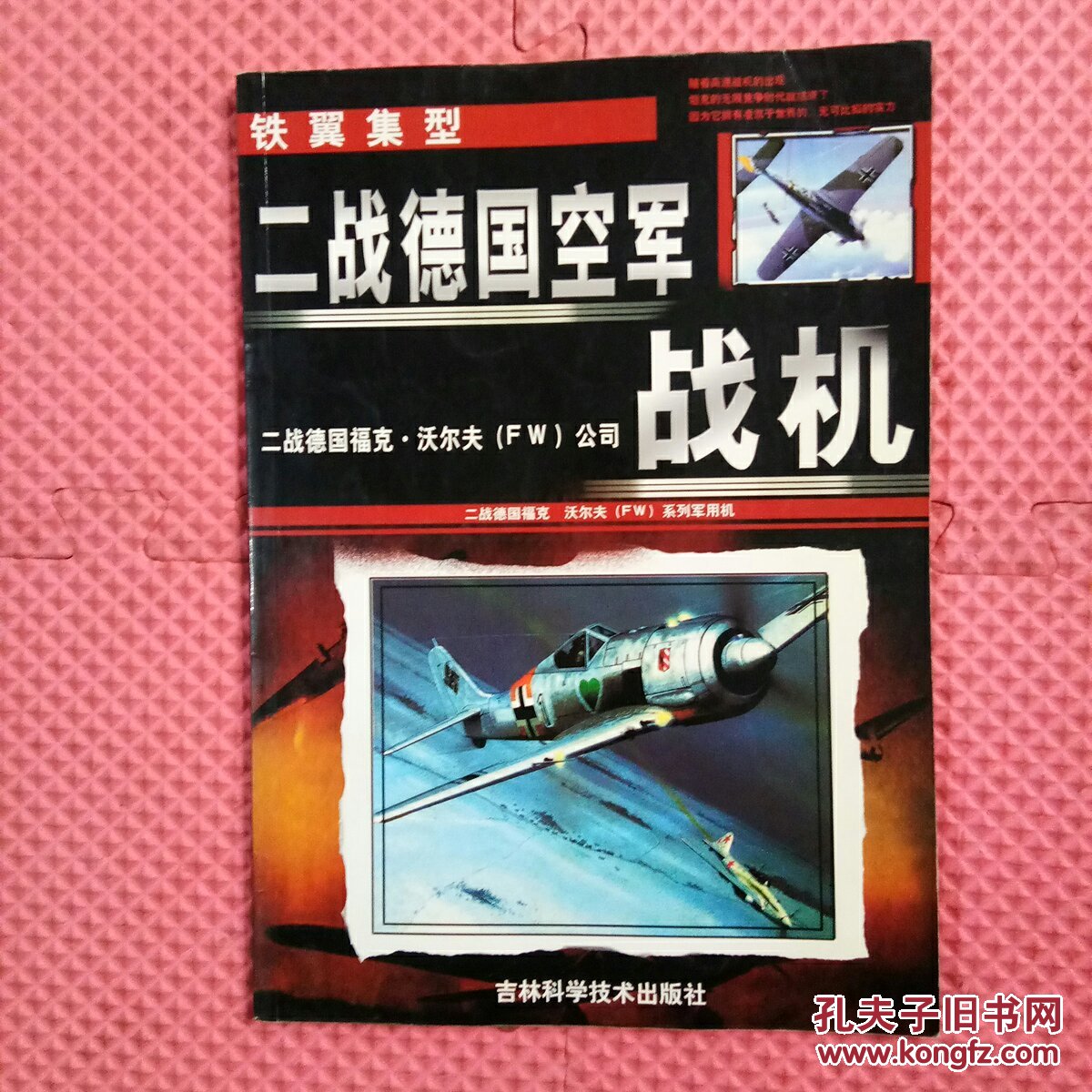 二战德国空军战机-铁翼集型2