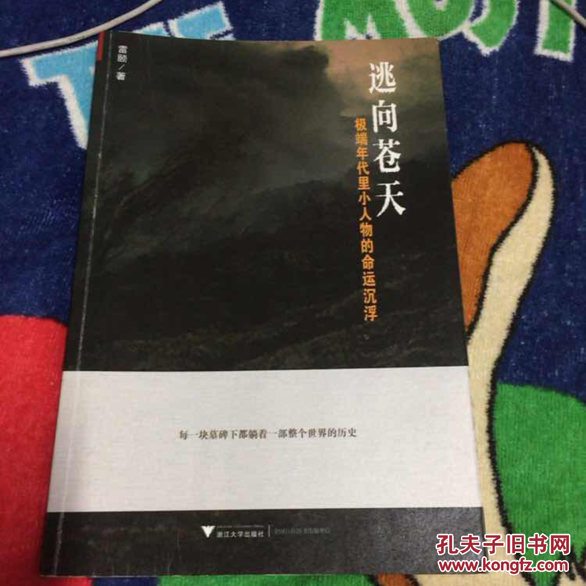 逃向苍天:极端年代里小人物的命运沉浮