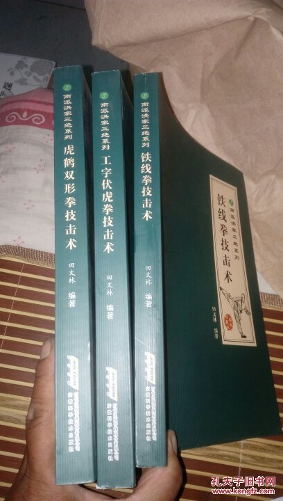 南派洪家三绝系列全三册 铁线拳技击术 工字伏虎拳技击术 虎鹤双形拳