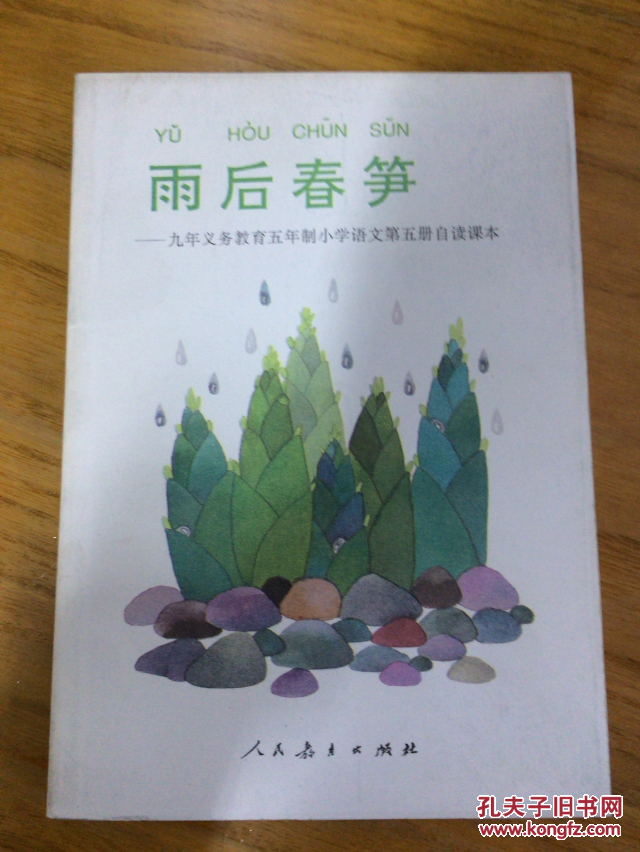雨后春笋