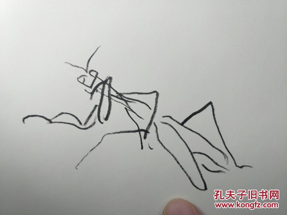 【图】熊谷守一速写集 鸟兽虫鱼 珂罗版百余图!限定860部 版画素描 花鸟画大师_龙潭书店