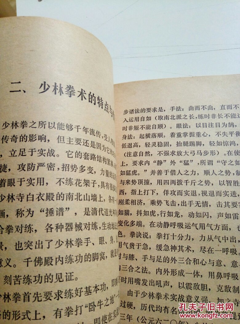 嵩山少林拳法