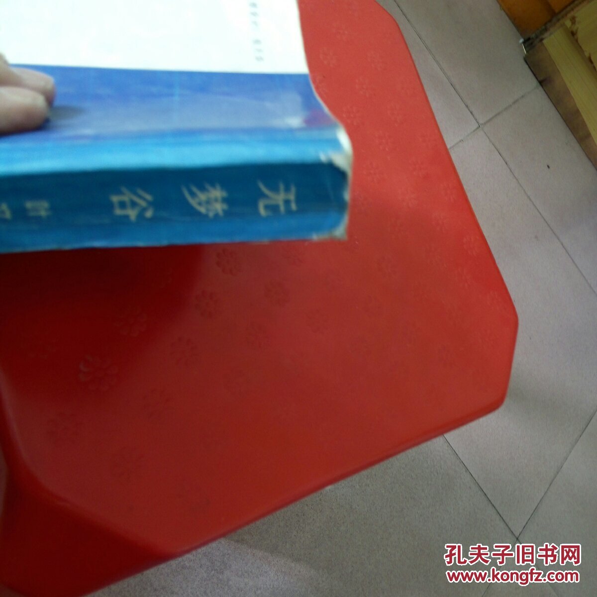 无梦谷(近皮彩纸页有缺角)_叶文玲著_孔夫子旧书网图片