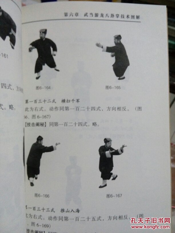 武当游龙八卦掌