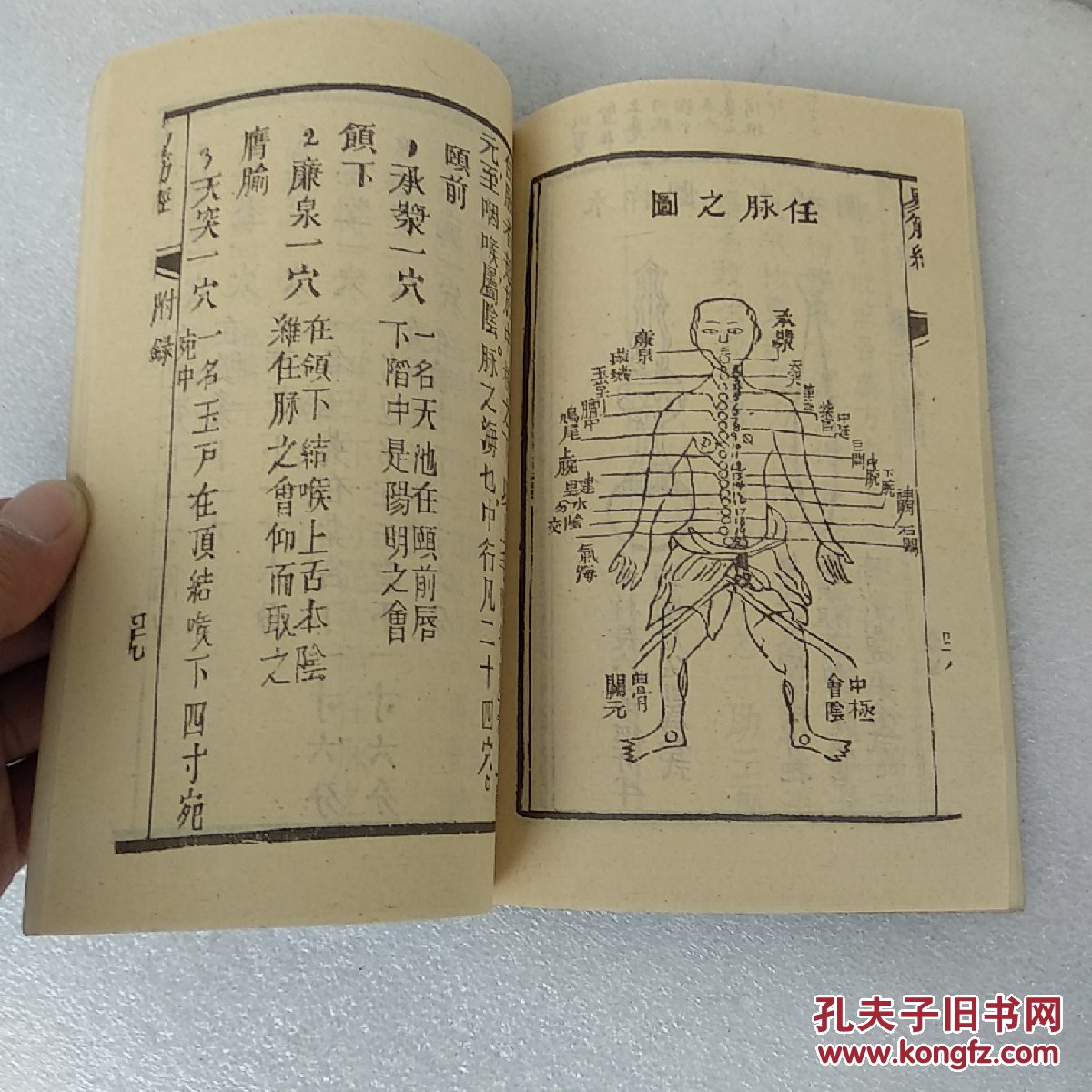 古本国术达摩洗髓易筋经