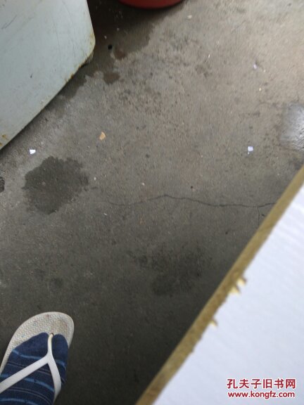 【图】生活的意义与价值。_上海译文出版社。