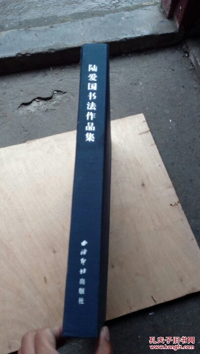 陆爱国书法作品集