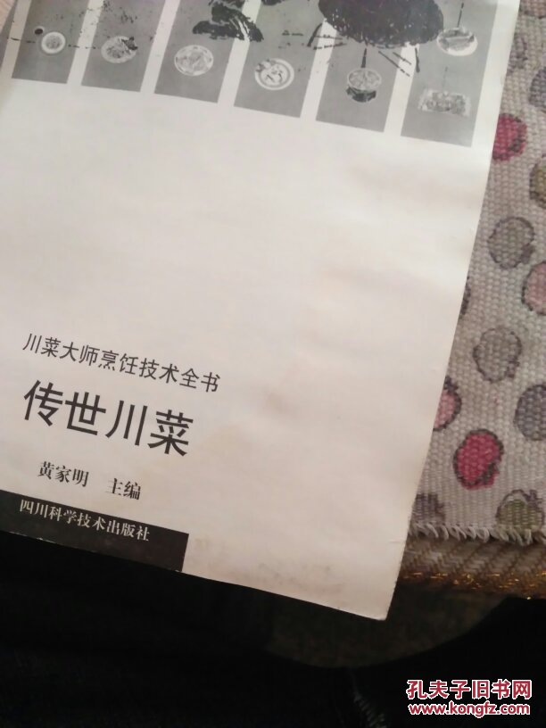川菜大师烹饪技术全书.传世川菜《一版一印》
